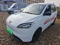 Wuling Hongguang New Energy 2025 (14200 км)