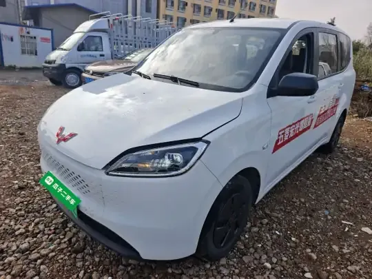 Wuling Hongguang New Energy 2025 (14200 км)