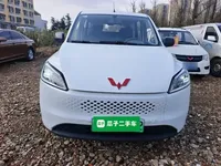 Wuling Hongguang New Energy 2025 (14200 км)