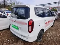 Wuling Hongguang New Energy 2025 (14200 км)