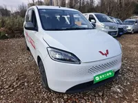 Wuling Hongguang New Energy 2025 (14200 км)