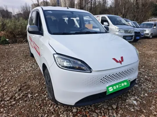 Wuling Hongguang New Energy 2025 (14200 км)