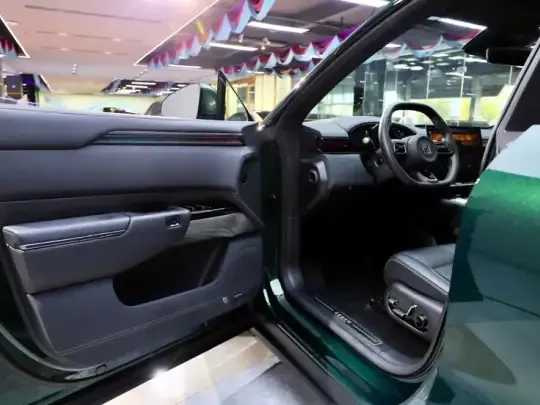 Zeekr 7X 2025 (17700 км)
