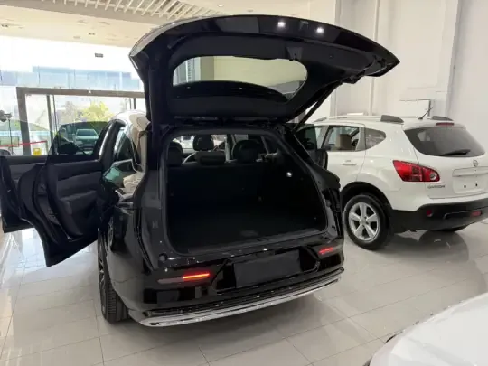 Zeekr 7X 2025 (11500 км)