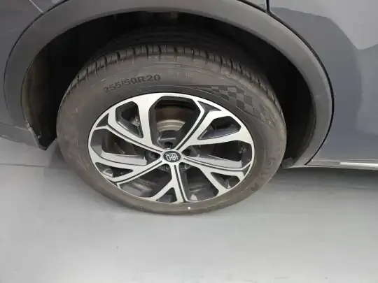 BYD Tang New Energy 2025 (600 км)