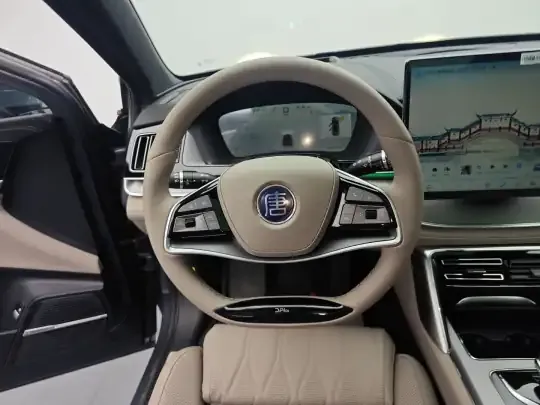 BYD Tang New Energy 2025 (600 км)