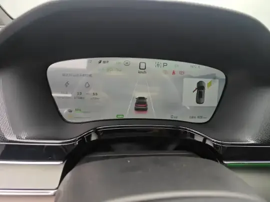BYD Tang New Energy 2025 (600 км)