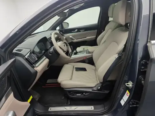 BYD Tang New Energy 2025 (600 км)