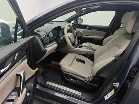 BYD Tang New Energy 2025 (600 км)