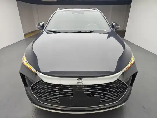BYD Tang New Energy 2025 (600 км)