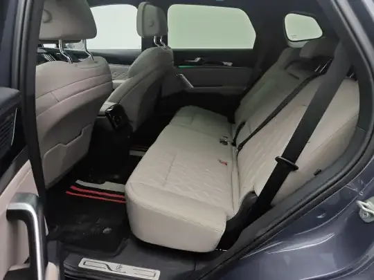 BYD Tang New Energy 2025 (600 км)