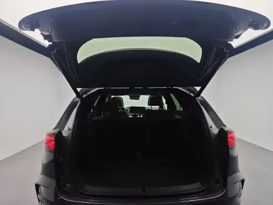 BYD Tang New Energy 2025 (600 км)