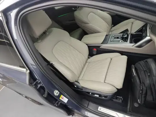 BYD Tang New Energy 2025 (600 км)