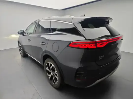 BYD Tang New Energy 2025 (600 км)