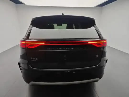 BYD Tang New Energy 2025 (600 км)