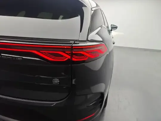 BYD Tang New Energy 2025 (600 км)