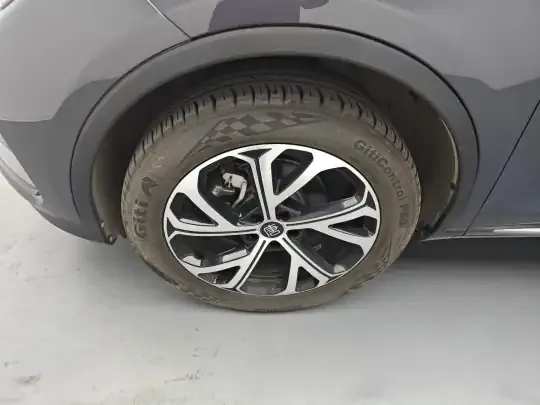 BYD Tang New Energy 2025 (600 км)