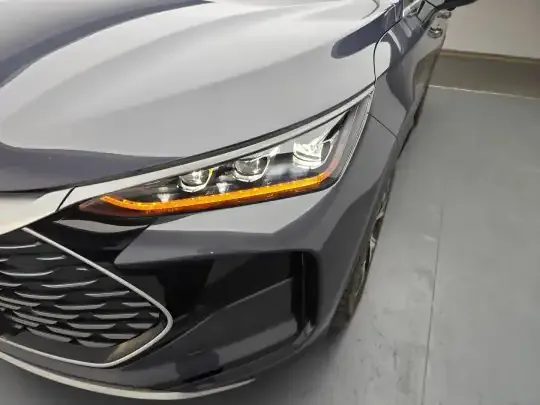 BYD Tang New Energy 2025 (600 км)