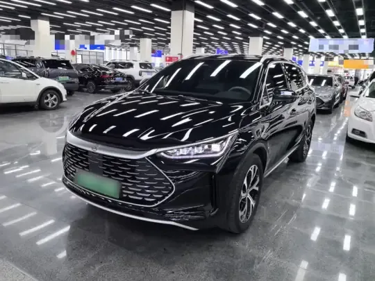 BYD Tang New Energy 2025 (16200 км)