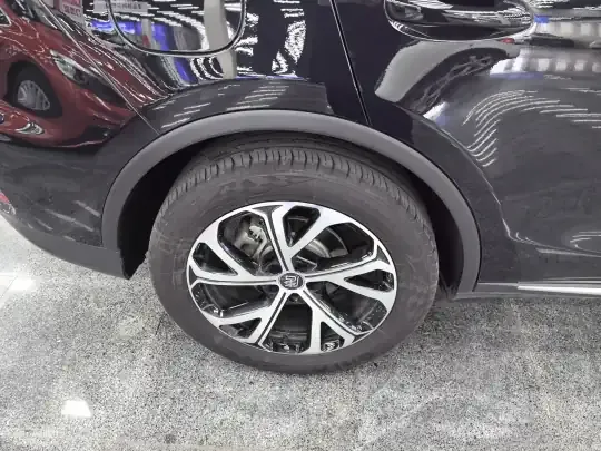 BYD Tang New Energy 2025 (16200 км)