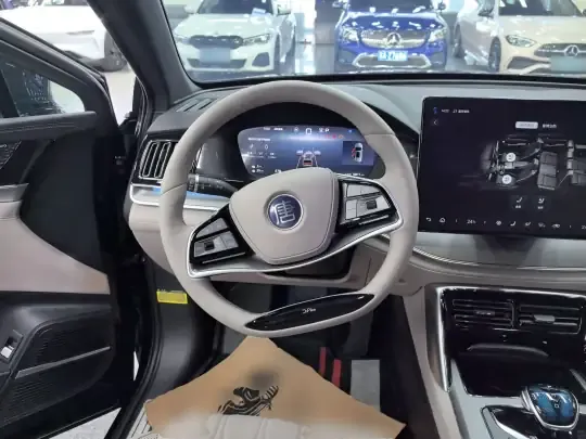 BYD Tang New Energy 2025 (16200 км)