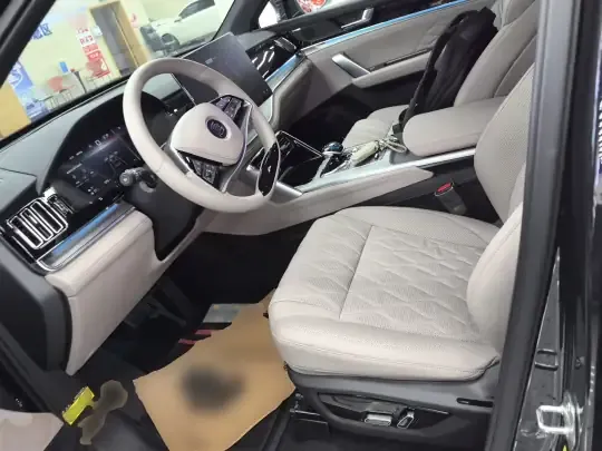 BYD Tang New Energy 2025 (16200 км)