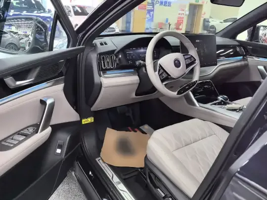 BYD Tang New Energy 2025 (16200 км)