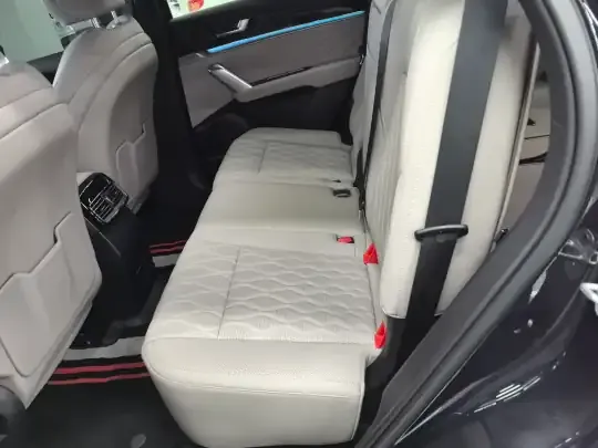 BYD Tang New Energy 2025 (16200 км)