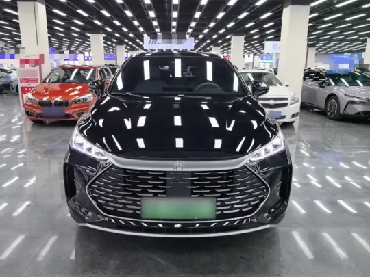 BYD Tang New Energy 2025 (16200 км)