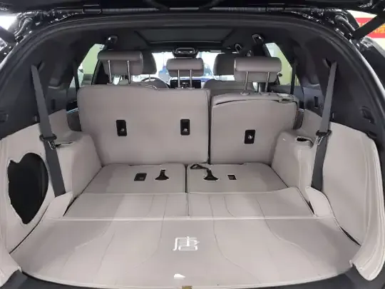 BYD Tang New Energy 2025 (16200 км)