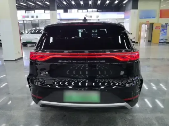 BYD Tang New Energy 2025 (16200 км)