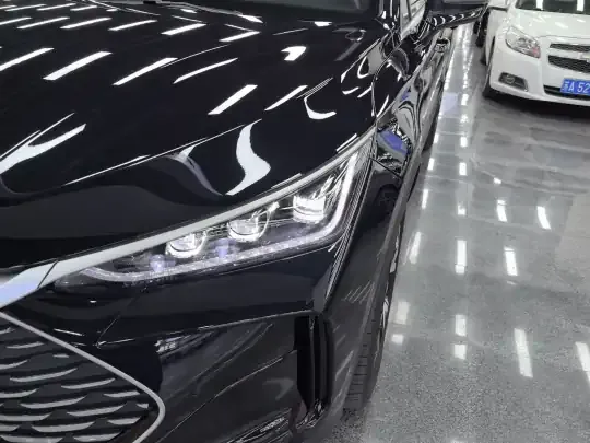 BYD Tang New Energy 2025 (16200 км)