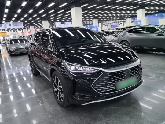 BYD Tang New Energy 2025 (16200 км)