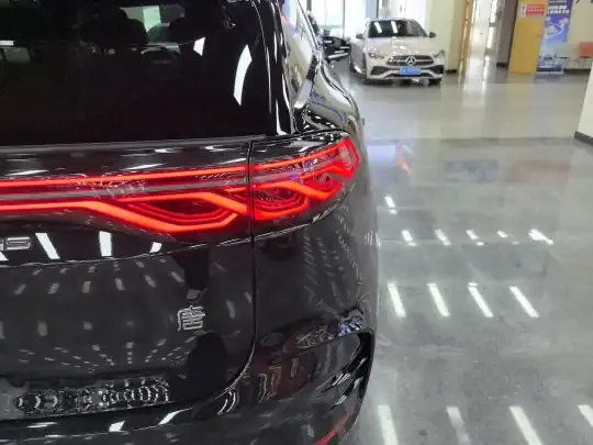 BYD Tang New Energy 2025 (16200 км)