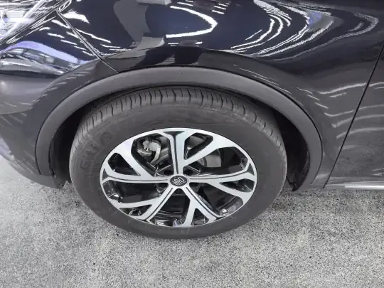 BYD Tang New Energy 2025 (16200 км)