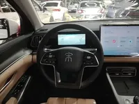 BYD Song Pro New Energy 2025 (21000 км)
