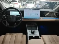 BYD Song Pro New Energy 2025 (21000 км)