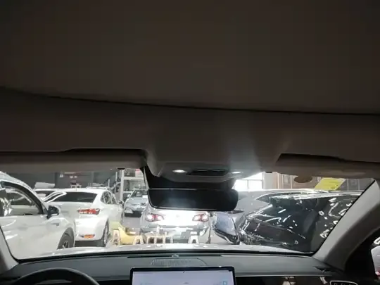 BYD Song Pro New Energy 2025 (21000 км)