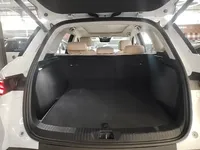 BYD Song Pro New Energy 2025 (21000 км)