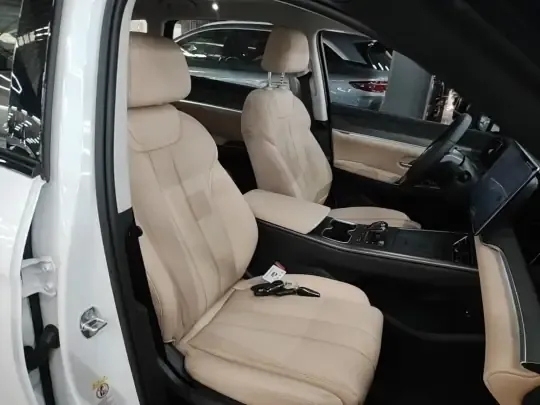 BYD Song Pro New Energy 2025 (21000 км)