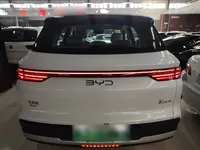 BYD Song Pro New Energy 2025 (21000 км)