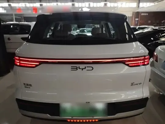 BYD Song Pro New Energy 2025 (21000 км)