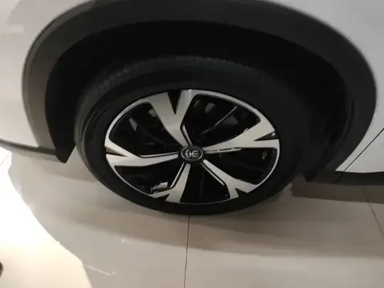 BYD Song Pro New Energy 2025 (21000 км)