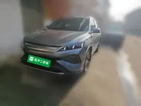 BYD Song Pro New Energy 2025 (12300 км)