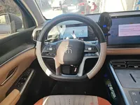 BYD Song Pro New Energy 2025 (12300 км)
