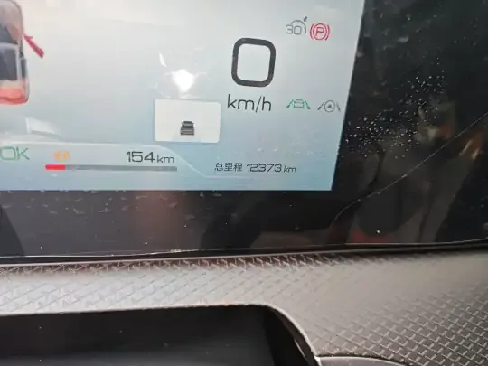 BYD Song Pro New Energy 2025 (12300 км)