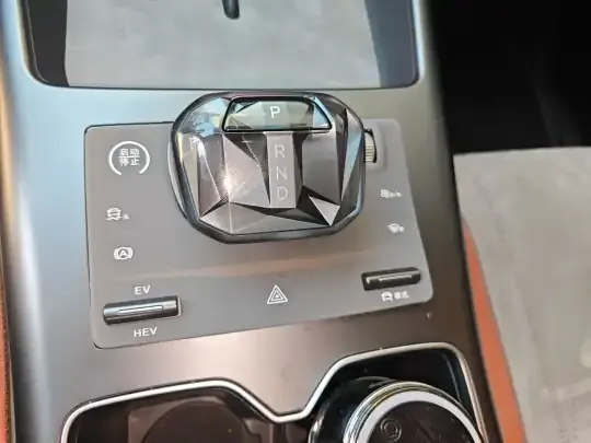 BYD Song Pro New Energy 2025 (12300 км)