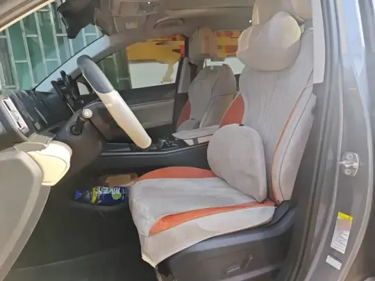 BYD Song Pro New Energy 2025 (12300 км)