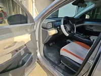 BYD Song Pro New Energy 2025 (12300 км)