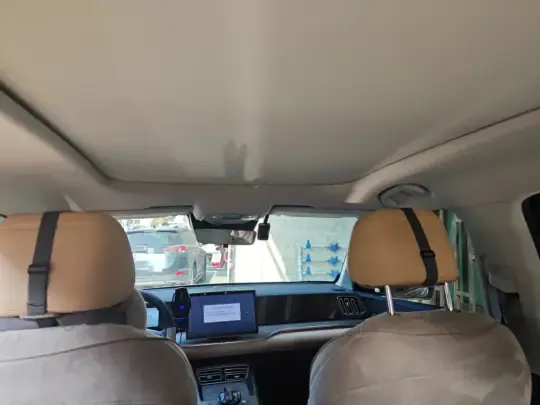 BYD Song Pro New Energy 2025 (12300 км)